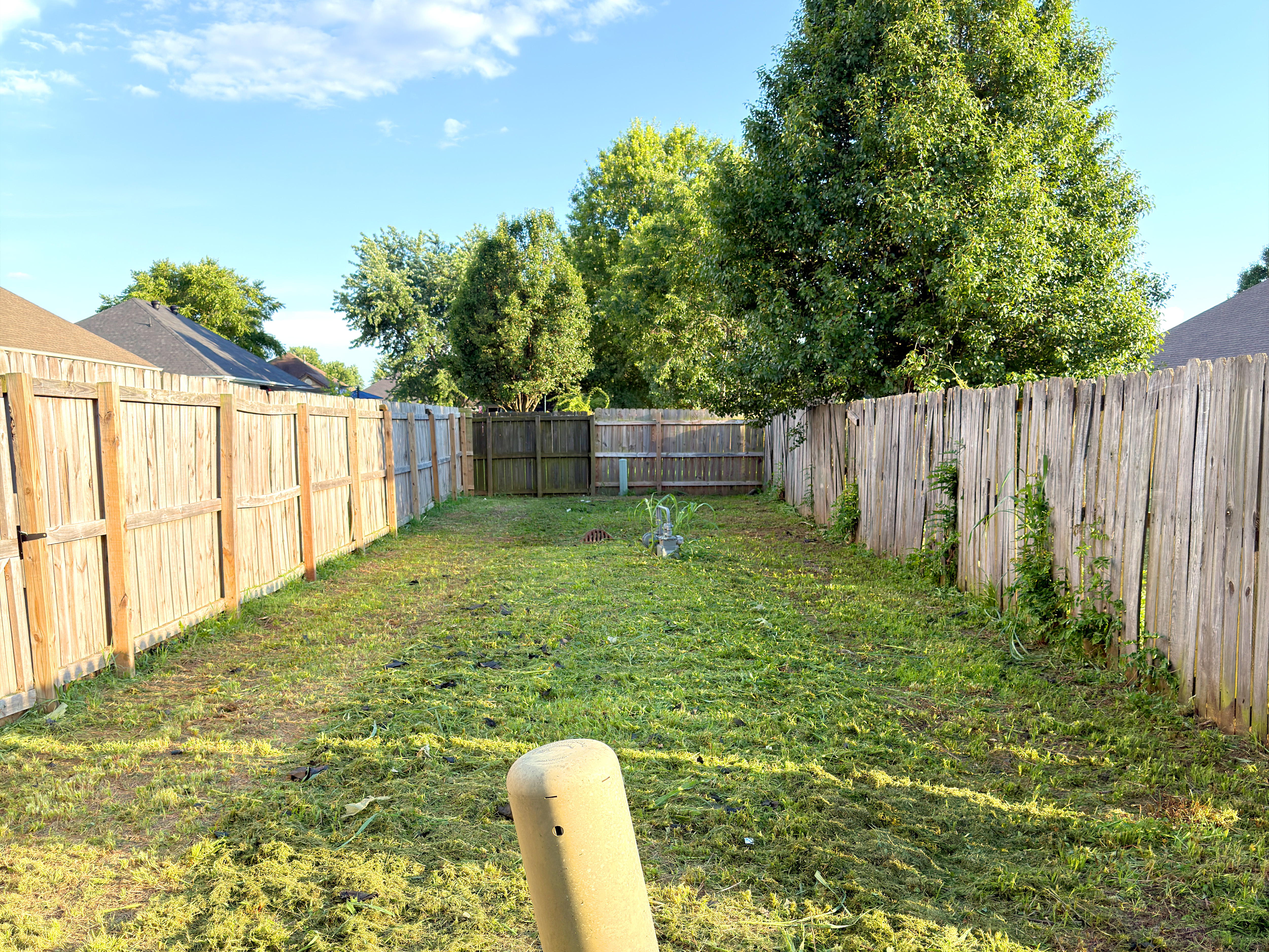 Development placeholder for an after lawn-care photo